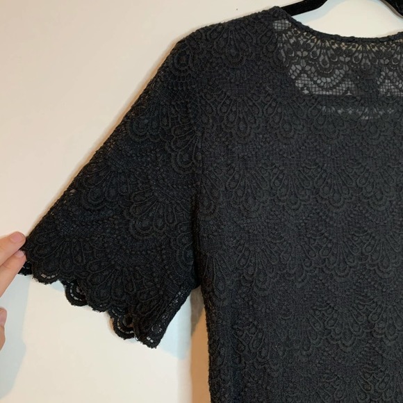 J. CREW Sheer Gray Scalloped Lace Blouse - Picture 6 of 7
